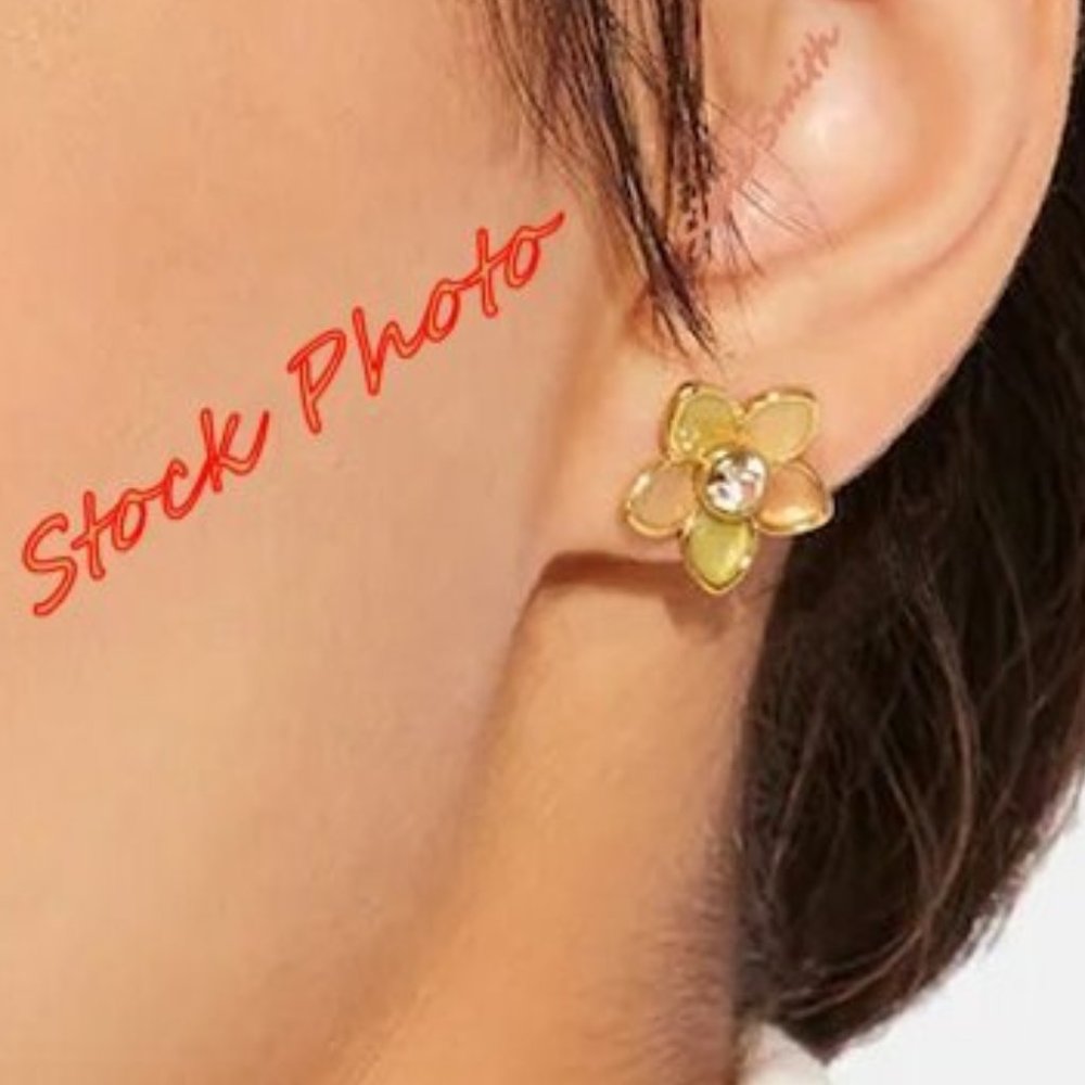 NWT Coach Transparent Wildflower Stud Earrings - Picture 5 of 6